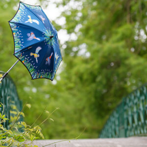 klaoos - Formation photo entreprise - Bordeaux - Mickaël Bonnami Photographe - VP23