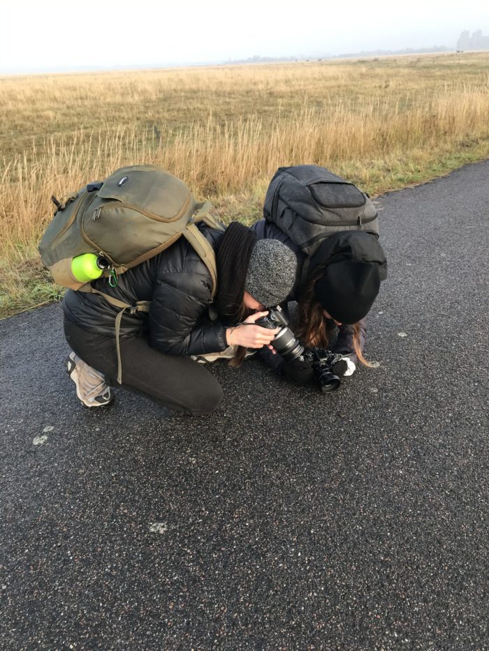 4D10F2ED-5314-4AAF-8341-20E145F6BE71